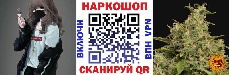 ГАШ Бологое