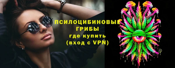 СК Волосово