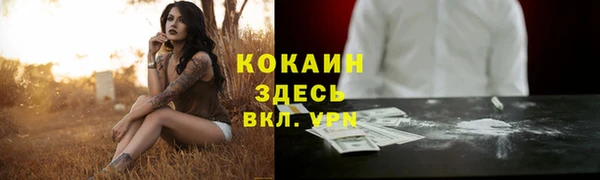 дживик Володарск
