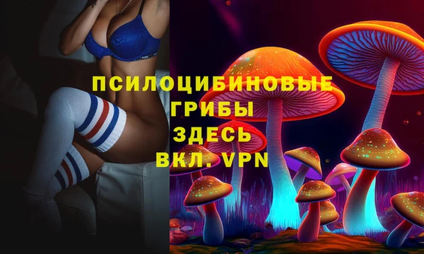 СК Волосово
