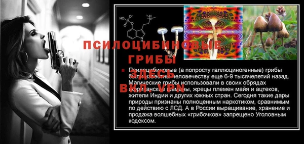 дживик Володарск