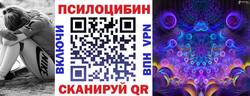 Псилоцибиновые грибы Psilocybe Купить где Бологое